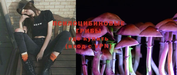 спайс Алексеевка