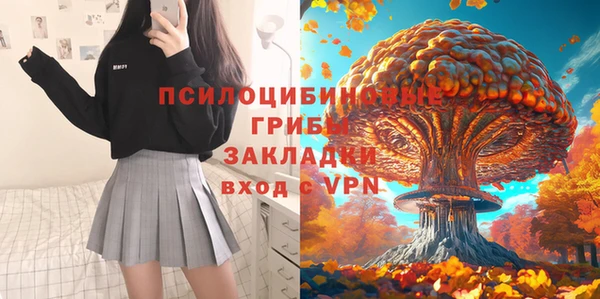 прущие грибы Алексин