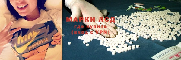 прущие грибы Алексин