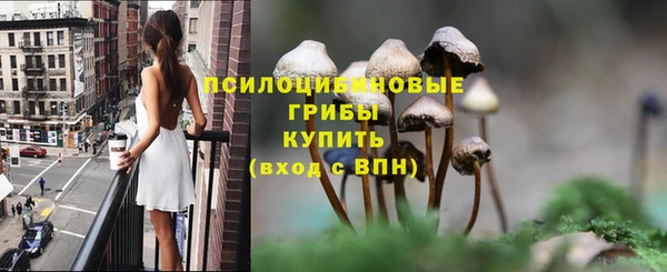спайс Алексеевка
