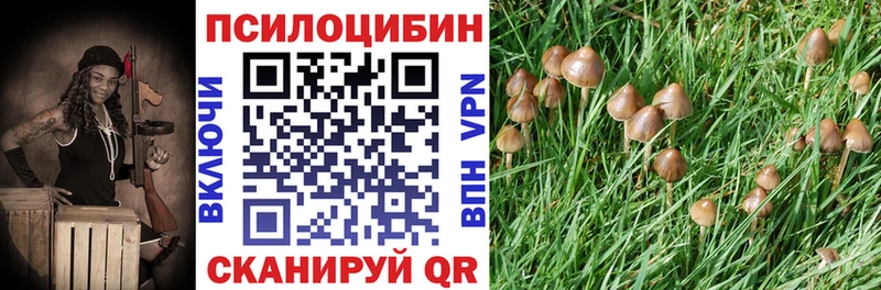Галлюциногенные грибы мухоморы  Жуков 