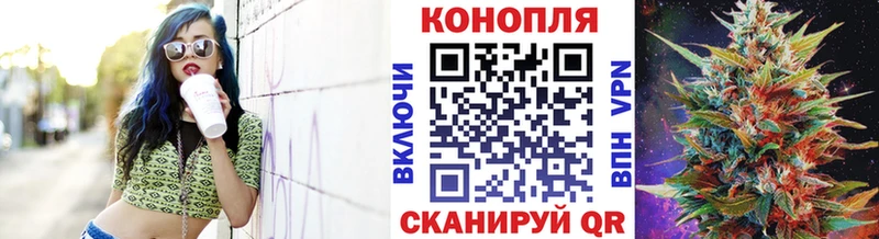 Бошки марихуана сатива  OMG зеркало  Жуков 